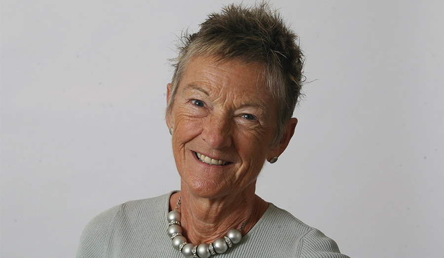 Professor Dianne Willcocks CBE, DL