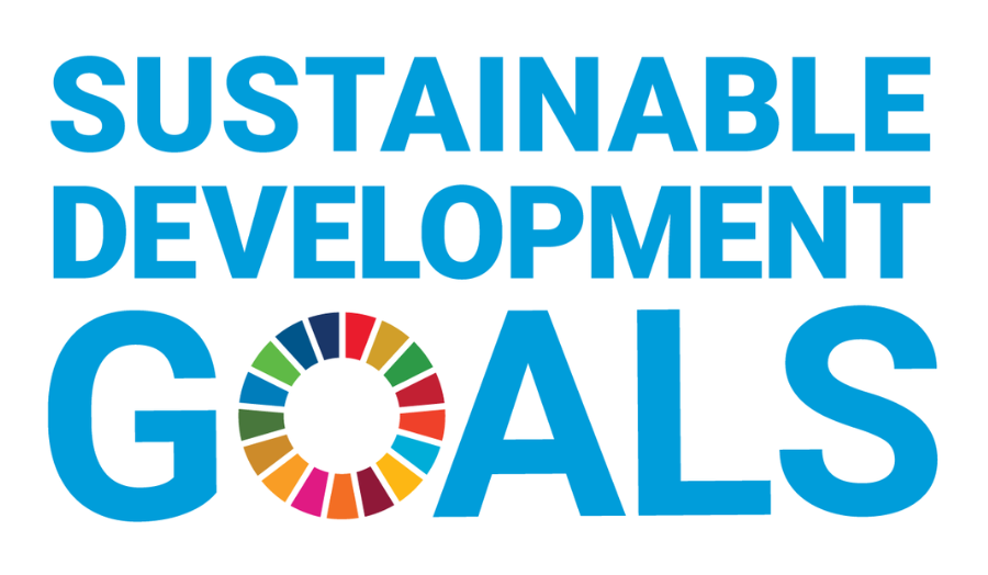 Sustainability Development Goals logo