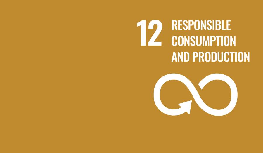 Responsible Consumption and Production SDG logo