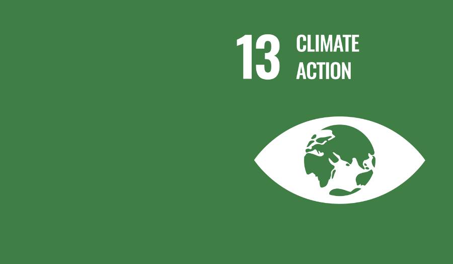 Climate Action SDG logo