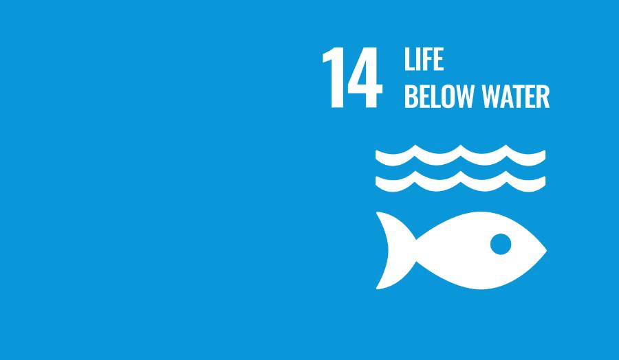 Life Below Water SDG logo