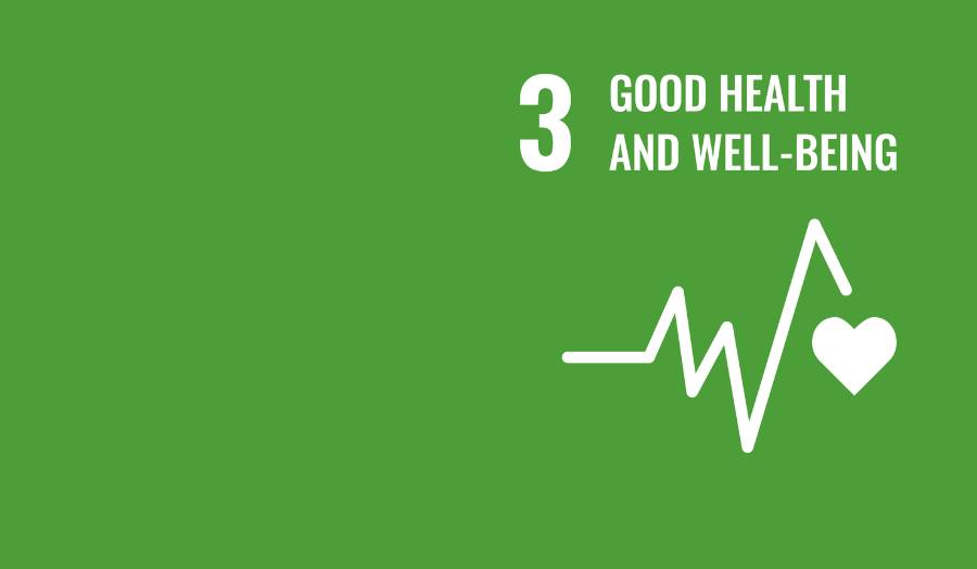 Good Health and Well-being SDG logo