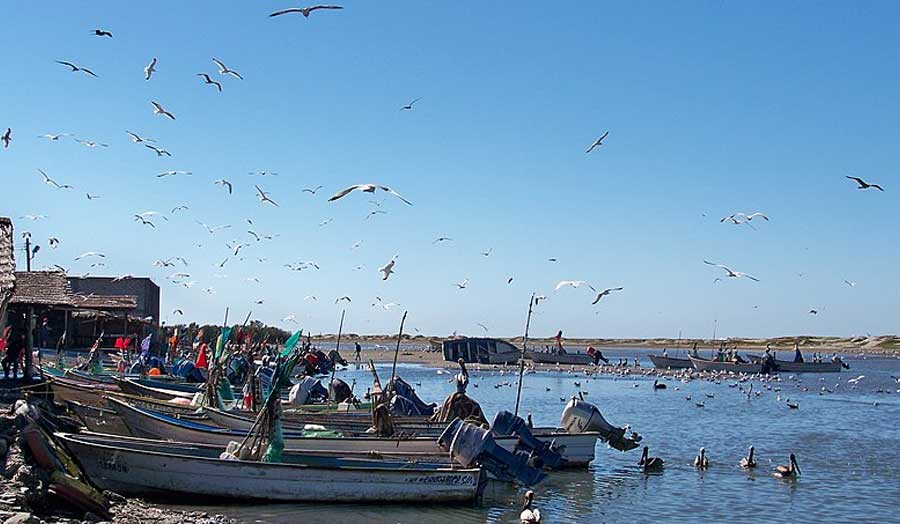 A panoramic image of the coast in Ahome, Sinaloa, with fishing boats in the foreground